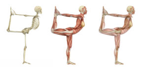Yoga Dancer Pose - Dehnen | SCHORK Sports