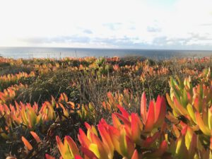 Wandern & Yoga in Spanien | SCHORK Sports
