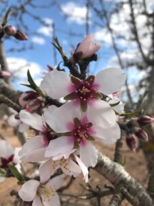 Wandern & Yoga in Spanien | SCHORK Sports